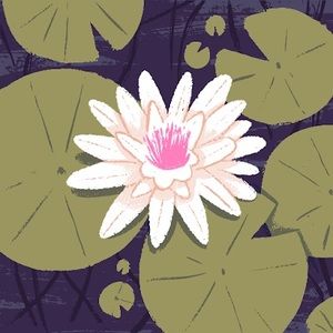 Meet your Posher, Katy